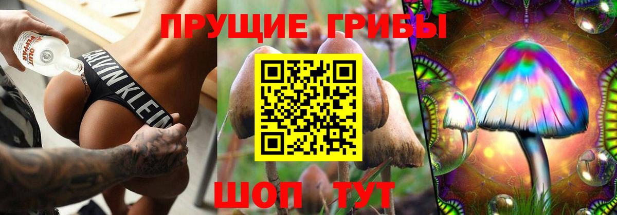 Галлюциногенные грибы прущие грибы  Вход с VPN  Грязи 